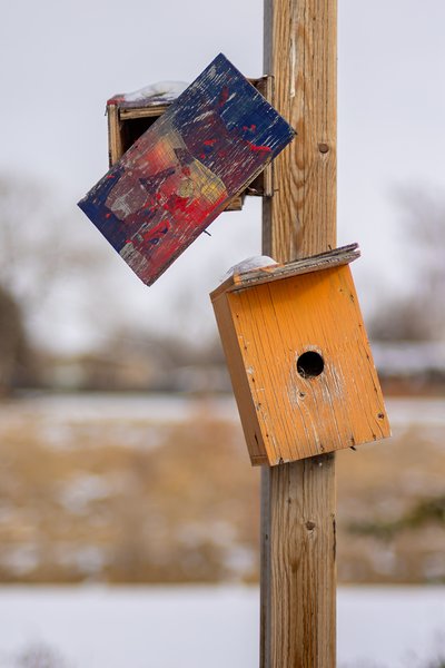 Some of us come from broken homes, Gray Park, Strathmore, Alberta, 2024-02-14