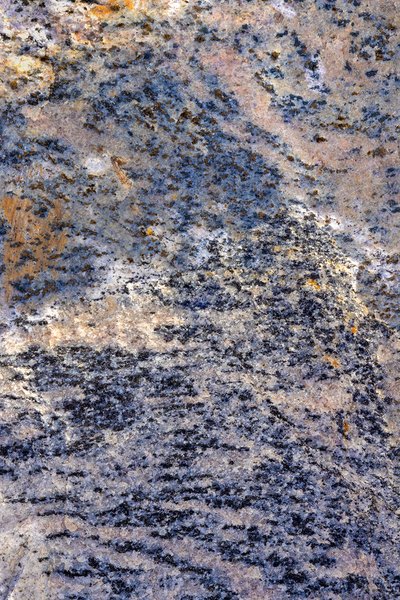 Just a touch of mottling, Gray Park, Strathmore, Alberta, 2024-02-14