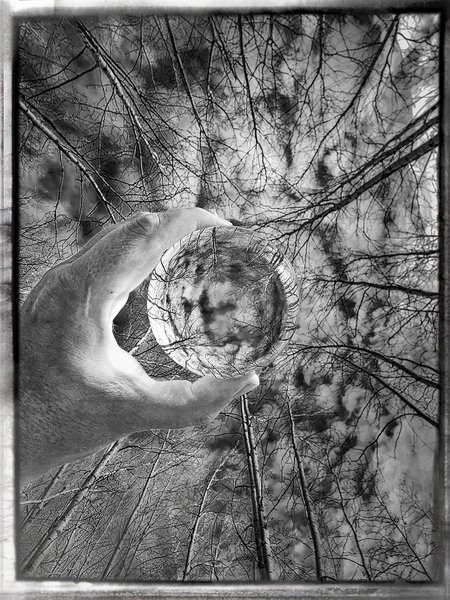 Reach higher, always, Gray Park, Strathmore, Alberta, 2024-02-15