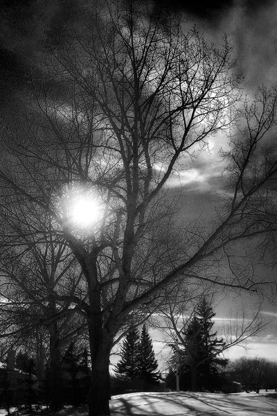 Somewhat intimidating, Dinosaur Hill Park, Strathmore, Alberta, 2024-02-19