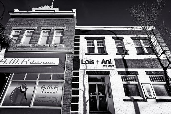 Lois + Ani Tea Shop, Drumheller, Alberta, 2024-02-21