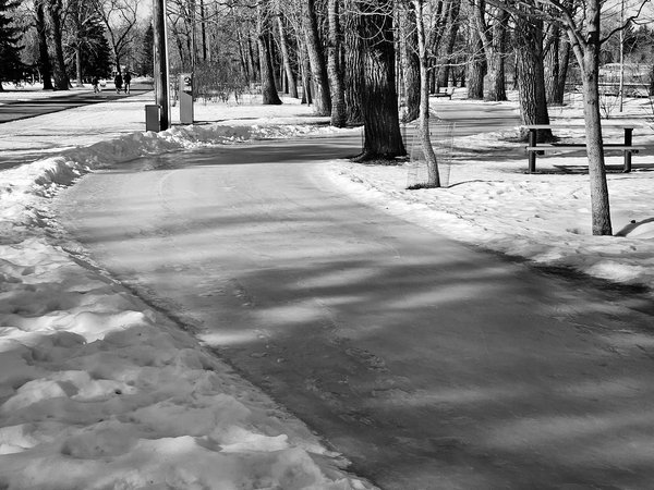 Skating pathway, Bowness Park, Calgary, Alberta, 2024-02-23