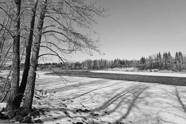 Bow River, Bowness Park, Calgary, Alberta, 2024-02-23