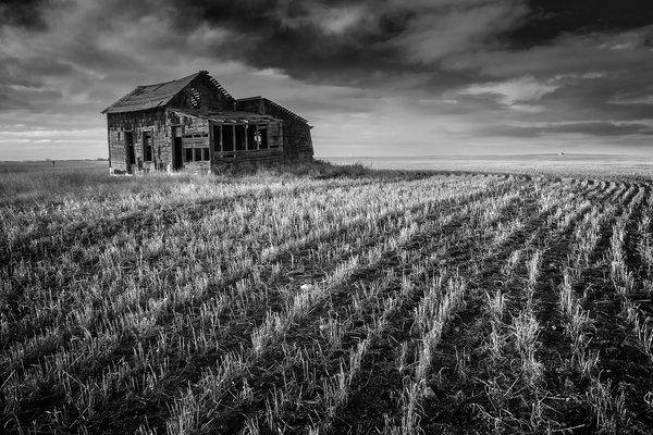 Homestead South of Mossleigh, Vulcan County, Alberta, 2024-02-29