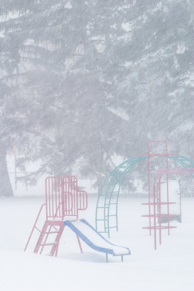 Coming in Thicker, Thornbriar Green, Strathmore, Alberta, 2024-03-02