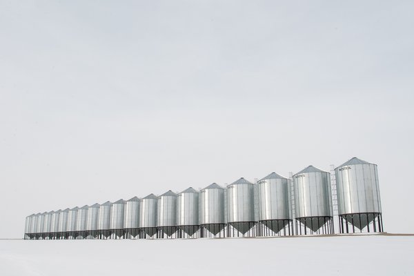 Bin a long time comin' 01, Vulcan County, Alberta, 2024-03-05