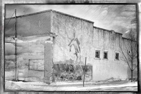 Cornered again, Blackie, Alberta, 2024-03-05