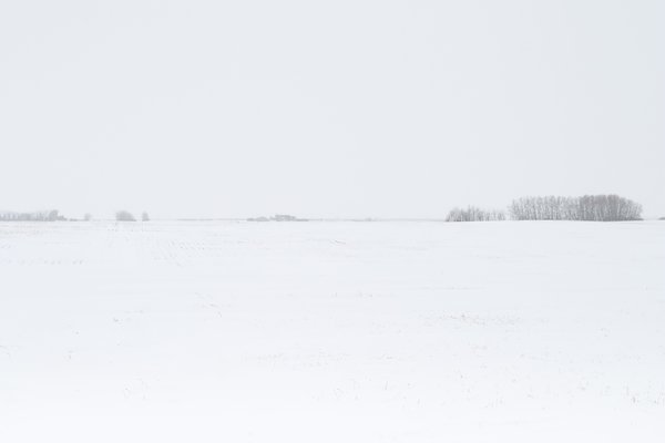 Whole Lotta Nothin', Landscape, 5km north of Blackie, Alberta, 2024-03-05