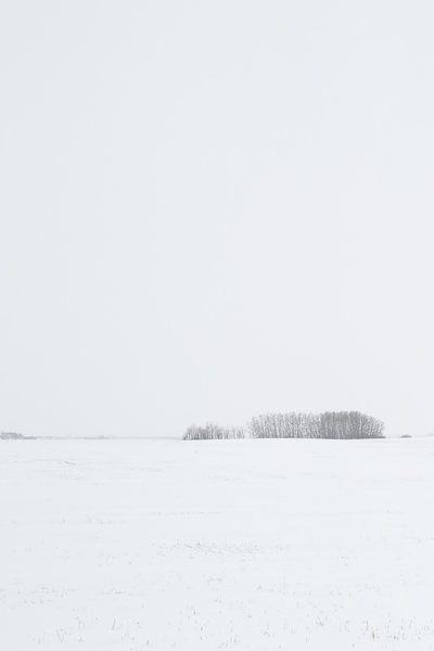 Whole Lotta Nothin', Portrait, 5km north of Blackie, Alberta, 2024-03-05