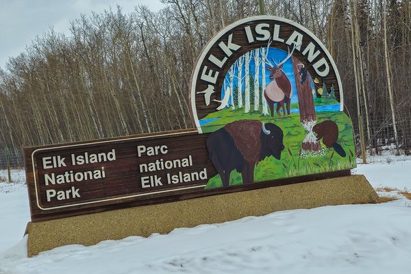 Welcome one and all, Elk Island National Park, Alberta. 2024-03-10