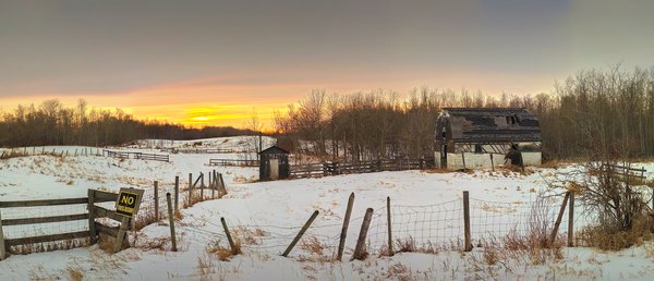 Not a pretty sight, Elk Island National Park, Alberta. 2024-03-10