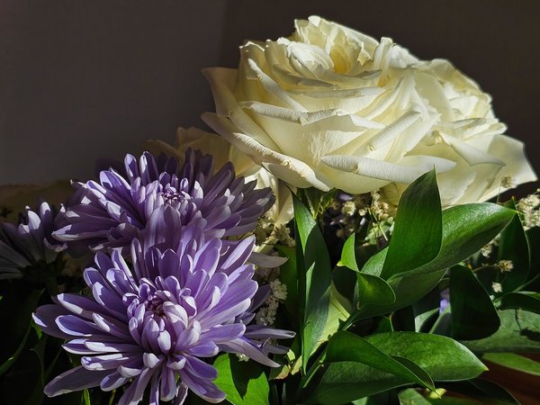 Flowers for Ray 03, Leduc, Alberta, 2024-03-10