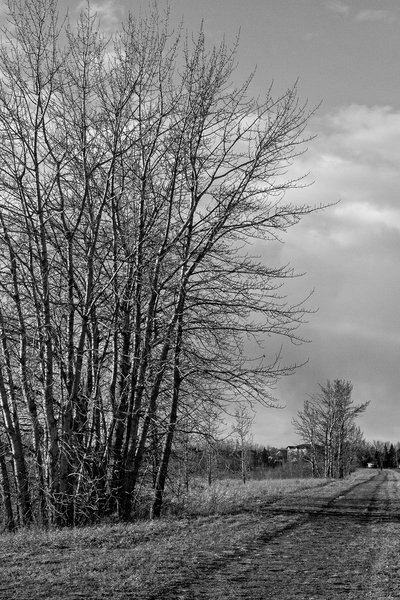 Move along, nothing to see here, Gray Park, Strathmore, Alberta, 2024-03-12