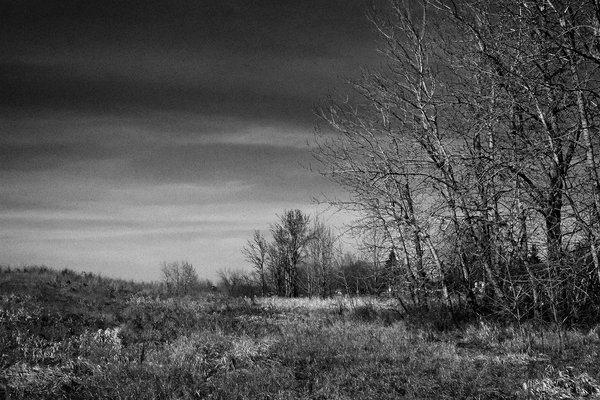 It's a grey park, Gray Park, Strathmore, Alberta, 2024-03-16