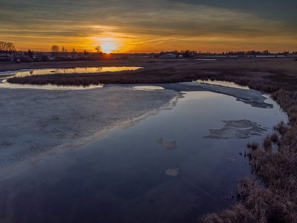 Living on the edge, Lower Gray Pond, Strathmore, Alberta, 2024-03-16