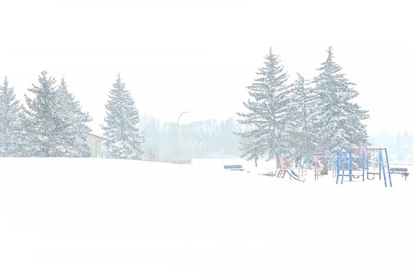 It can always get worse, Thornbriar Green, Strathmore, AB, 2024-03-20