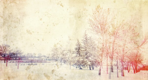 More than meets the eye, Thornbriar Green, Strathmore, AB, 2024-03-23