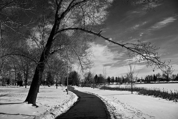 The one true path, Kinsmen Park, Strathmore, AB, 2024-03-27