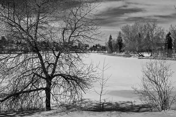 A bit barren, Kinsmen Park, Strathmore, AB, 2024-03-27
