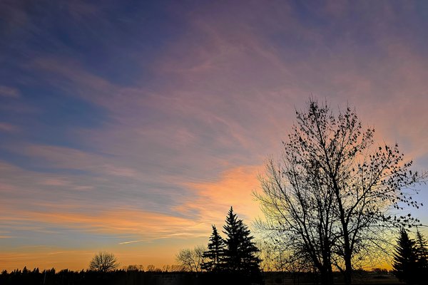 Thank you for this day, Thornbriar Green, Strathmore, AB, 2024-03-17