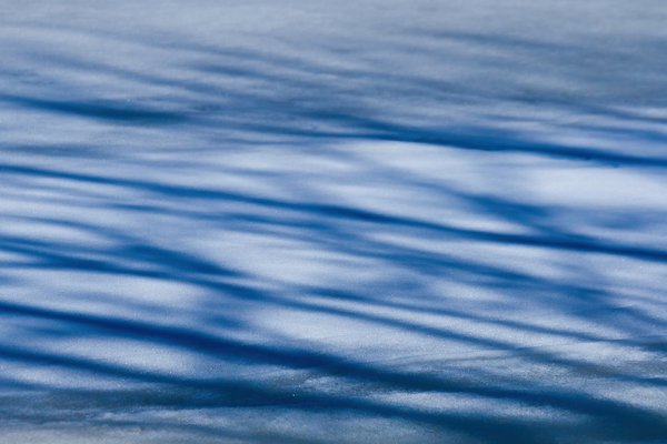 Shadows on the pond, Kinsmen Park, Strathmore, AB, 2024-04-01