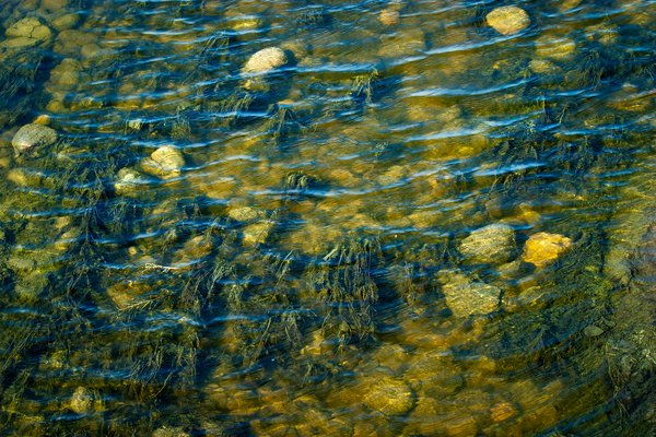 Ripples 02, Irrigation Canal, Thomas Drive, Strathmore, AB, 2024-04-03
