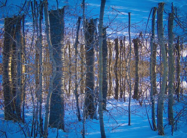 Feeling Surreal, Gray Park, Strathmore, Alberta, 2024-03-06