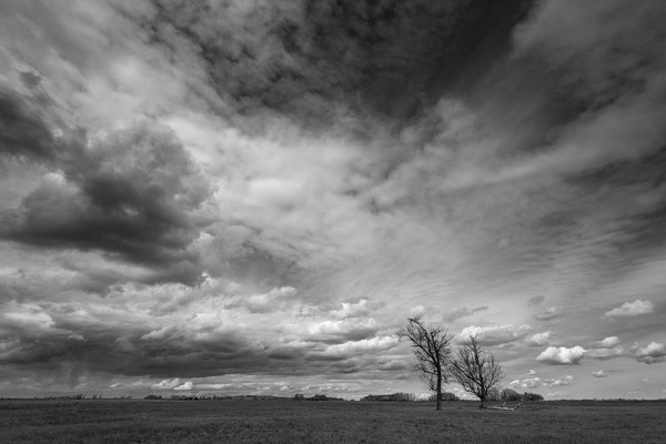 Left feeling small, Hwy 564, Wheatland County, Alberta, 2024-04-07