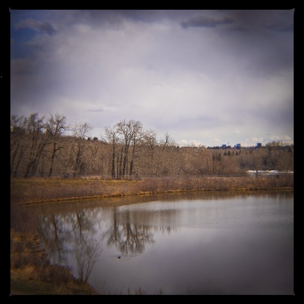 What nothing looks like, Bowmont Park, Calgary, AB, 2024-04-12