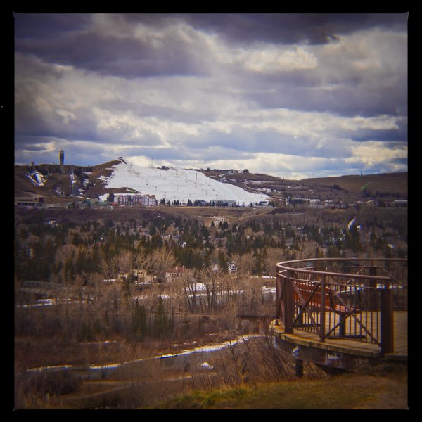 All about the view, Bowmont Park, Calgary, AB, 2024-04-12