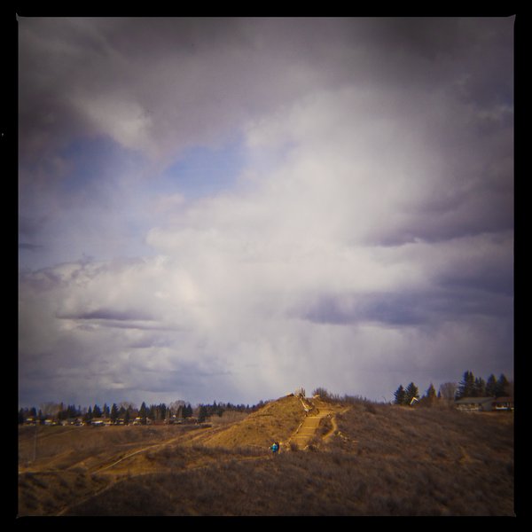 King of the hill, Bowmont Park, Calgary, AB, 2024-04-12