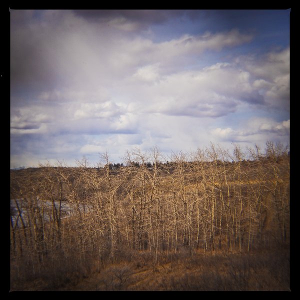 Still the dead season here, Bowmont Park, Calgary, AB, 2024-04-12