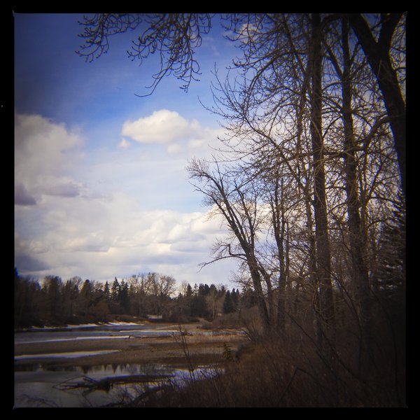 Unkempt, Bowmont Park, Calgary, AB, 2024-04-12