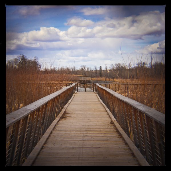Boardwalk, Bowmont Park, Calgary, AB, 2024-04-12