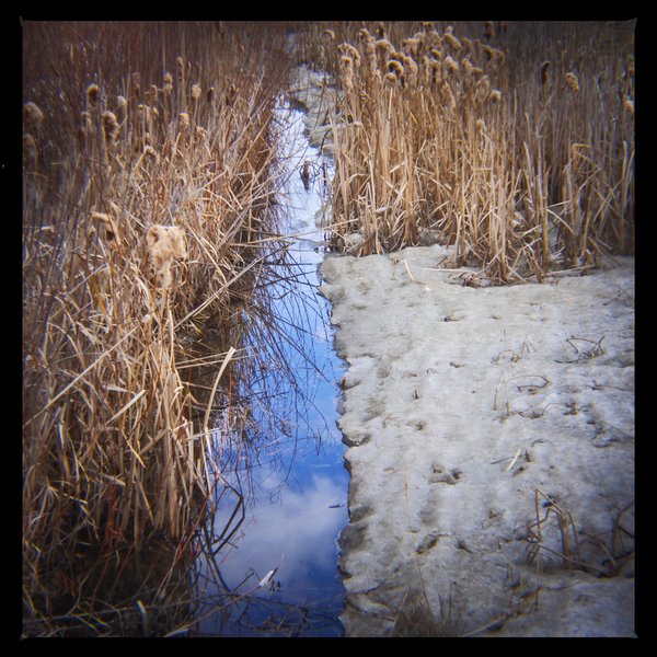 A blue sky cheers everyone up, Bowmont Park, Calgary, AB, 2024-04-12