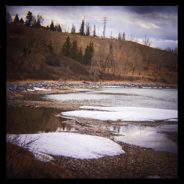Shore Leave, Bowmont Park, Calgary, AB, 2024-04-12