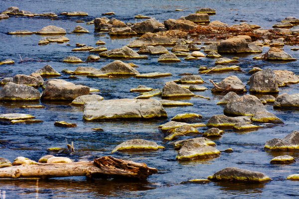 Off to a rocky start, Carseland Weir, AB, 2024-04-11