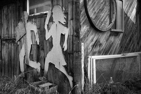 Making a run for it, Cluny, AB, 2024-04-13
