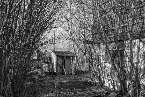 Like something from a horror film, Cluny, AB, 2024-04-13