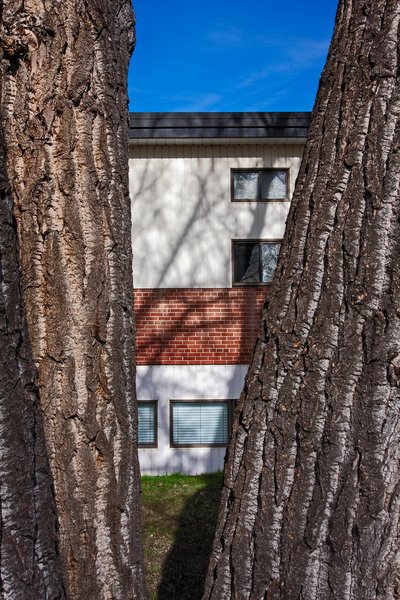 Peekaboo, Cluny, AB, 2024-04-13
