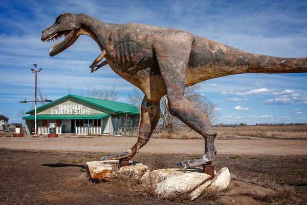 Gettin' Rexxed, Dinosaur Country Store, Newell County No. 4, AB, 2024-04-13