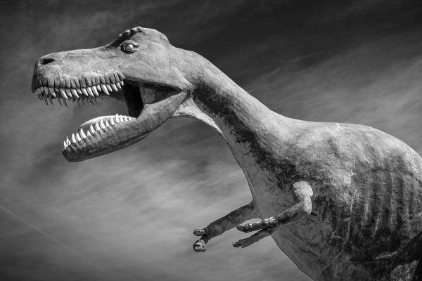 Rawwwrrrr, Dinosaur Country Store, Newell County No. 4, AB, 2024-04-13