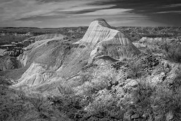 Earth tones are in again, Dinosaur Provincial Park, AB, 2024-04-13a