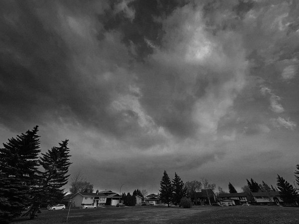 Here comes the pain again 02, Thornbriar Green, Strathmore, AB, 2024-04-15