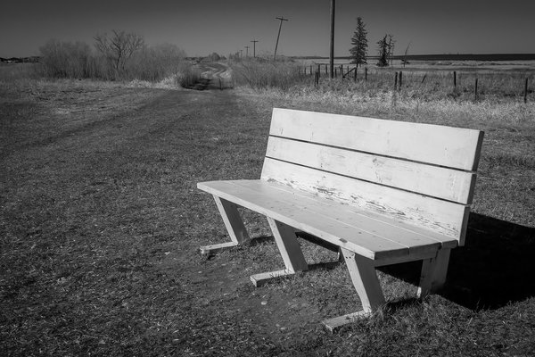 No rest for the wicked, Eagle Lake Trail, Strathmore, AB, 2024-04-20