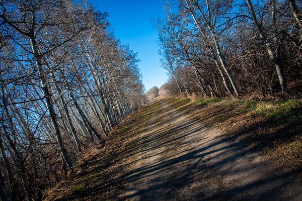 Walking on shadows, Eagle Lake Trail, Strathmore, AB, 2024-04-20