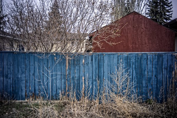 Red bright and blue, My Back Alley, Strathmore, AB, 2024-04-24