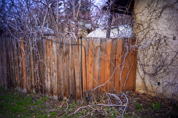 It's a bit crowded, My Back Alley, Strathmore, AB, 2024-04-24