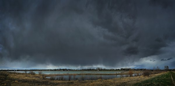 Trepidatious lunch hour walk, Gray Park, Strathmore, AB, 2024-04-29
