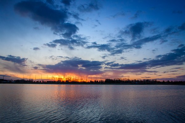 Not what we ordered, Upper Gray Pond, Strathmore, AB, 2024-05-03
